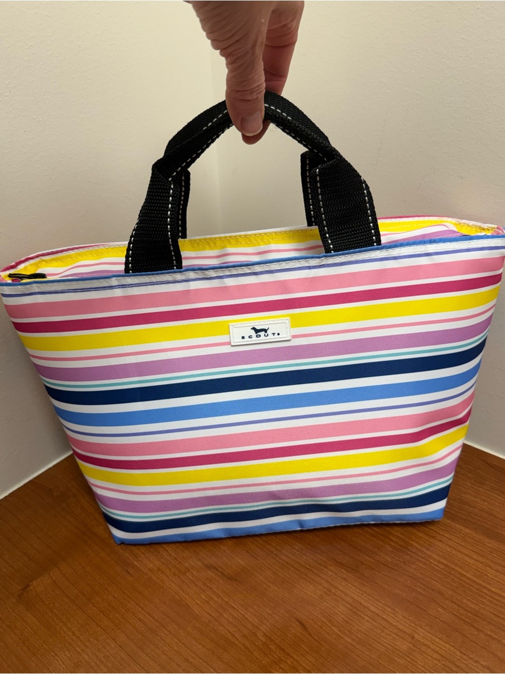 SCOUT NOONER LUNCH BAG IN STRIPE NWOT